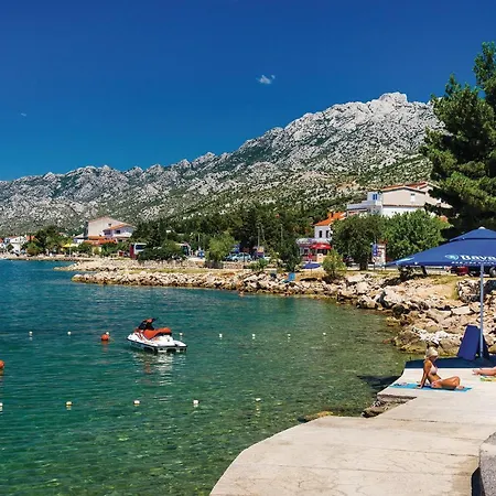 Zagrebacka Vi * Ясенице