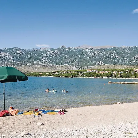 Zagrebacka Vi * Ясенице