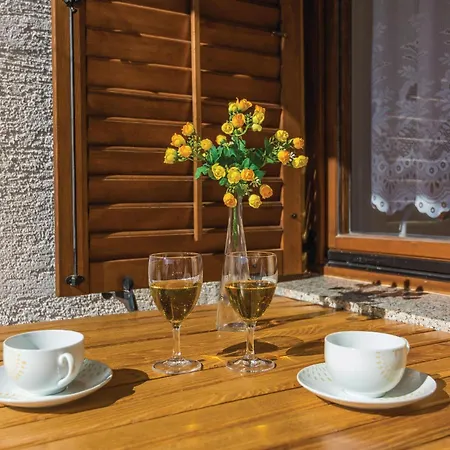 Zagrebacka Vi Apartment *