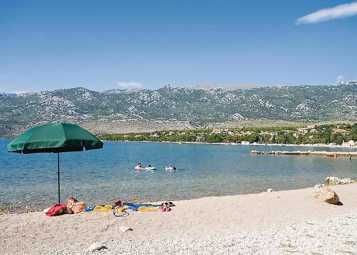 Zagrebacka Vi * Ясенице